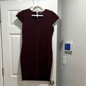 Express Deep Burgundy Mini Dress